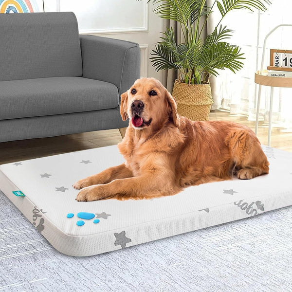 Waterproof Dog Bed for Large/Medium Dog, Memory Foam Dog Beds & Furniture | 38” X 26" X 1.5" for Large Sized Dogs with Anti-Slip & Washable Removable Cover, Soft Flannel Top Pet Beds, Grey9