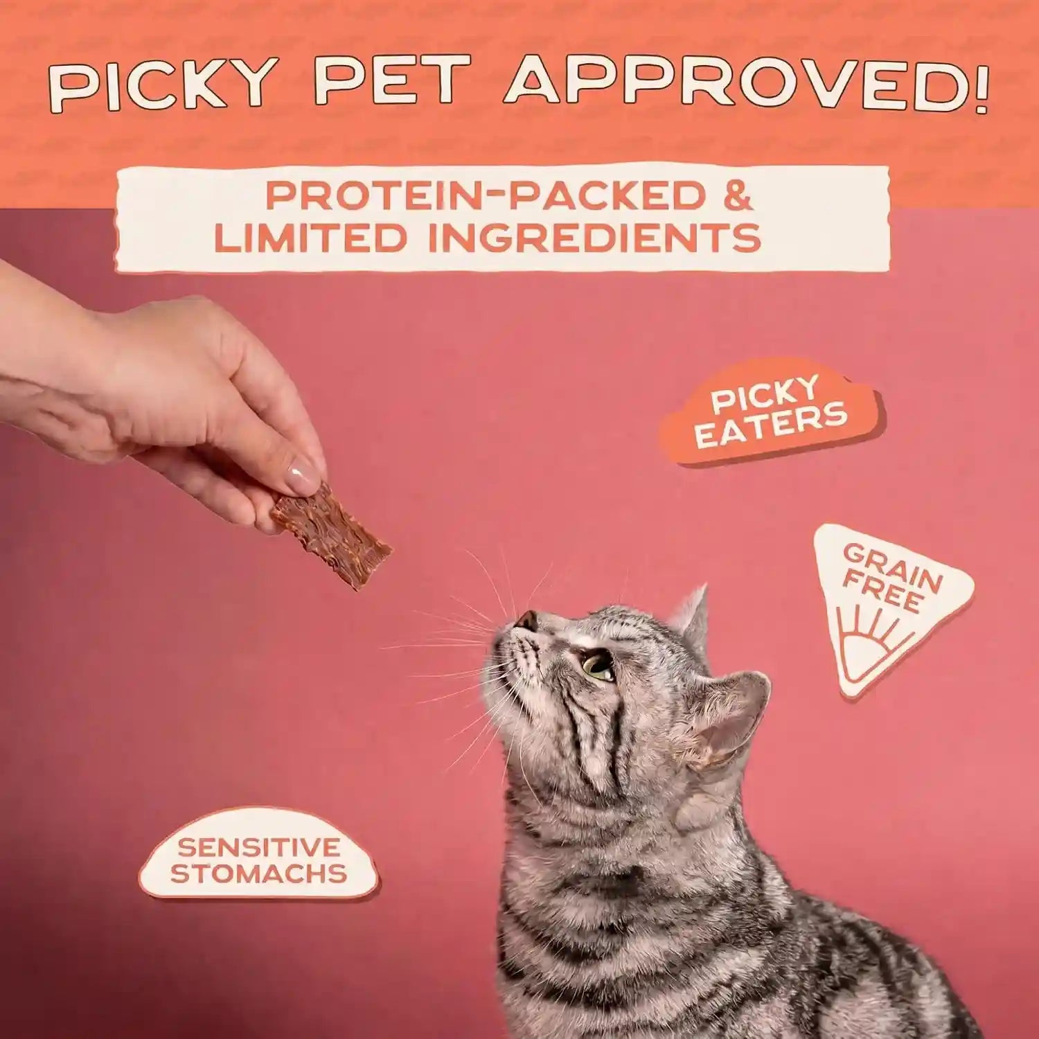 smart-cookie-salmon-jerky-cat-treats-real-salmon-flaxseed-omega-3s-for-skin-coat-grain-free-high-protein-handcrafted-natural-treat-made-in-the-usa-pack-of-1