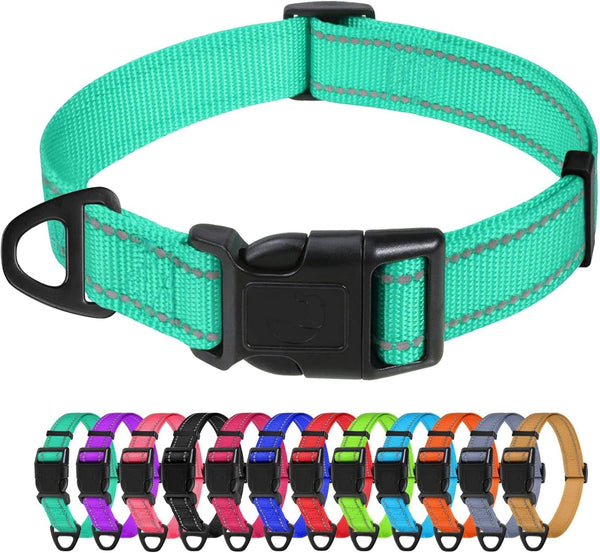 Tagme Small Dog Collar, Reflective Puppy Collar, Sky Blue, 3/8" Width | Lightweight, Nylon Collar for Puppies, Chihuahua, Yorkie & Teacup Dogs 5-15 Lbs, Reflective for Evening Walks, 12 Colors43
