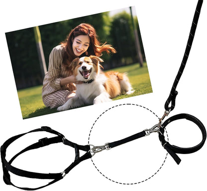 Double Ended Collar Backup Clip for Dog Harnesses, Safety Clip for Prong Collar with Gentle Nylon Webbing for Light Dog5
