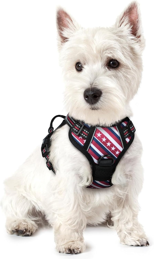 Rabbitgoo Dog Harness, No Pull for Large Dogs with 2 Leash Clips, Pet Vest | No Choke with Handle, Adjustable Soft Padded, Reflective, Easy Control for Walking, Black, Large92