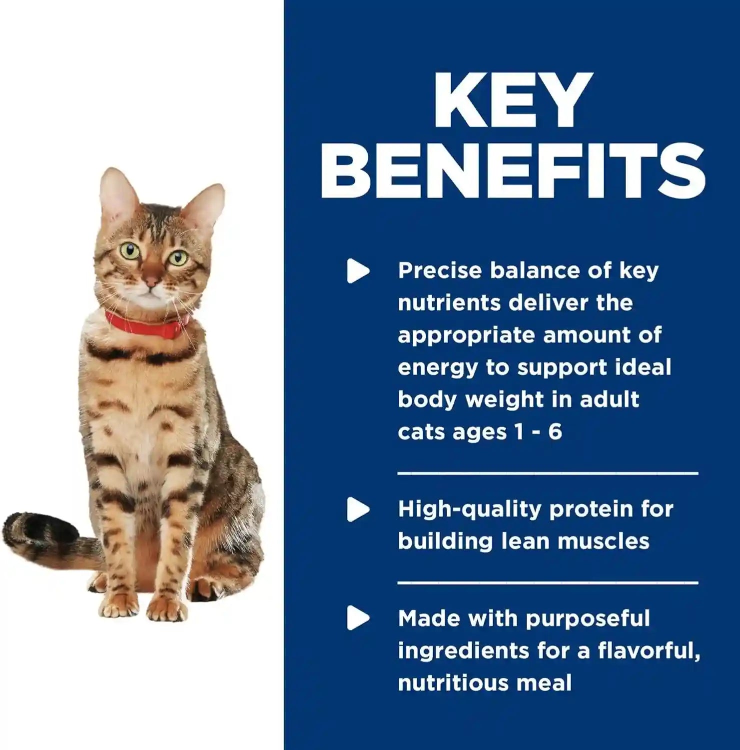 hills-science-diet-adult-1-6-healthy-cuisine-wet-cat-food-1-veterinarian-recommended-roasted-chicken-rice-2-8-oz-cans-24-pack