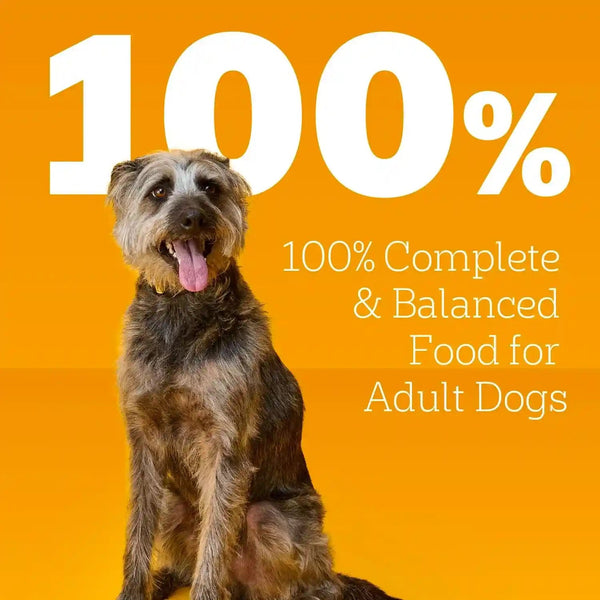 Pedigree Choice Cuts Wet Dog Food, Beef & Country Stew, 13.2 Oz, 12 Count | Beef & Country Stew Flavors, 100% Complete & Balanced, Supports Lean Muscles, 50%+ Water for Hydration, Made with Real Beef6