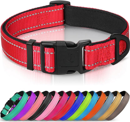 Joytale Reflective Dog Collar, Adjustable Neoprene Padded, Teal L | Breathable Nylon for Large Dogs, No Chafing on Walks and Outdoor Hikes, Tear-Resistant Webbing, Metal D-Ring, Night Safety20