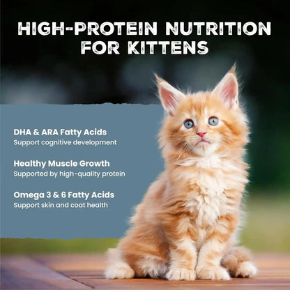 Blue Buffalo Wilderness Kitten Grain-Free Chicken Paté & Salmon Paté Wet Cat Food with DHA, High-Protein & Made with Natural Ingredients, Supports Healthy Growth & Development, 3-Oz. Each (6 Count)2