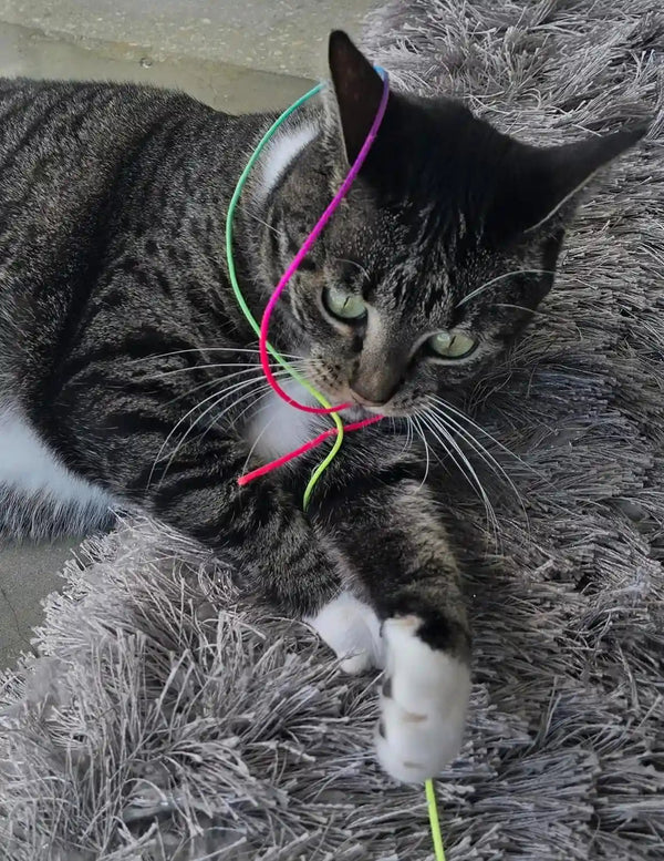 Cat Wand Toy for Indoor Cats, 105” Extra Long Magical Cat Teaser Wand, Interactive Cat Toy with Durable Nylon String, Elastic Wand for Exercise & Enrichment, Kittens to Senior Cats2