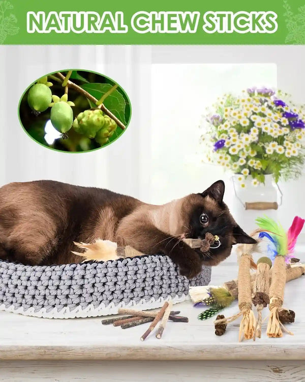 TINDTOP Silvervine Chew Sticks for Cats, 12 Pack Natural Catnip Chew Toys | for Kittens Teeth Cleaning, Matatabi Dental Care, Increase Appetite, Calm Cat Anxiety and Stress, Cat Dental Toy6