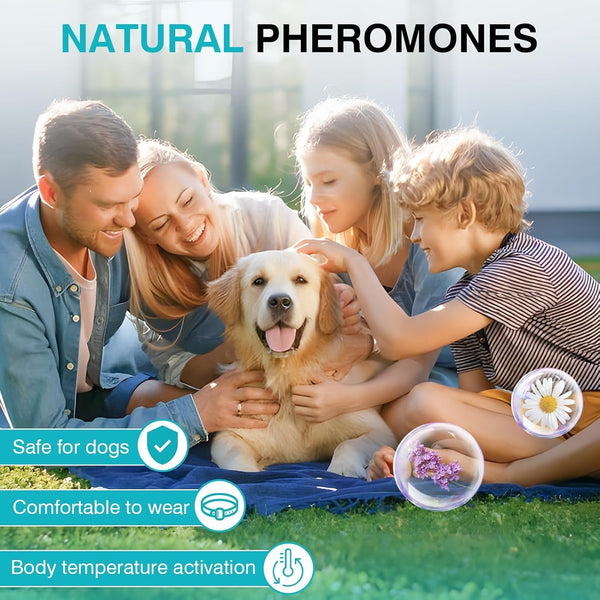 Calming Collar for Dogs 6 Packs Dog Calming Pheromones Collar Separation Anxiety and Stress Relief anti Anxiety 60 Days Calm Pheromone Collars for Small Medium Large Dogs 25 Inch Adjustable Waterproof5