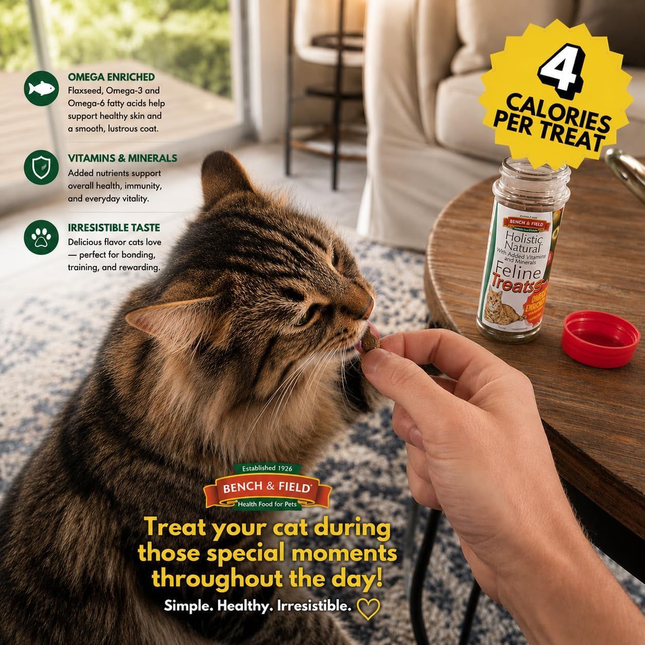 bench-field-holistic-natural-healthy-kitty-cat-treats-crunchy-fish-shaped-bites-delicious-seafood-flavored-snack-3-ounce-pack-of-3-bottles