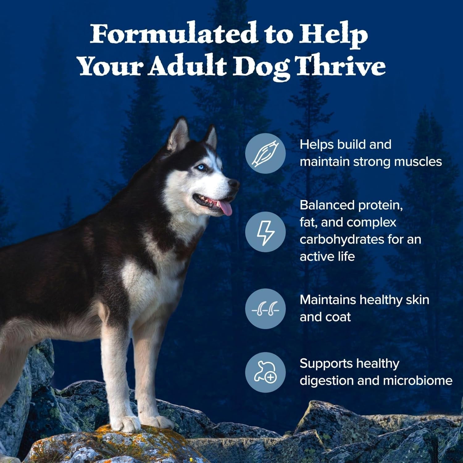 blue-buffalo-wilderness-with-chicken-high-protein-grain-free-dry-dog-food-for-adult-dogs-34-protein-supports-immunity-with-antioxidant-rich-lifesource-bits-4-5-lbs