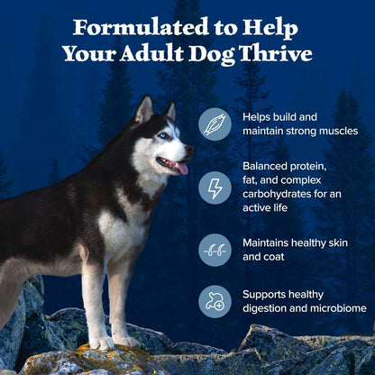 Blue Buffalo Wilderness with Chicken High Protein Grain Free Dry Dog Food for Adult Dogs, 34% Protein, Supports Immunity with Antioxidant-Rich Lifesource Bits, 4.5 Lbs.5