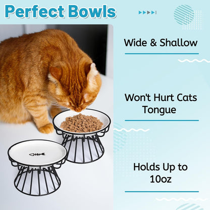 Cat Bowls, Elevated Cat Bowl, Raised Ceramic Dish with Metal Stand, Pet Water or Food Feeding Station for Indoor Cats, Kitten, Puppies and Small Dogs, Dishwasher Safe4