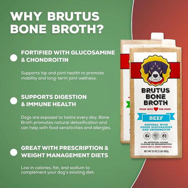 Brutus Chicken Broth Liquid for Dogs - All Natural Chicken Bone Broth for Dogs with Chondroitin Glucosamine Turmeric -Human Grade Dog Food Toppers for Picky Eaters & Dry Food -Tasty & Nutritious6
