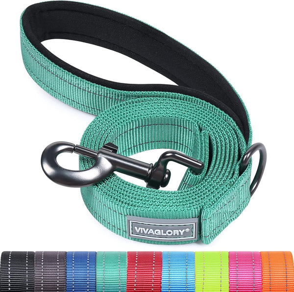 VIVAGLORY Dog Leash Puppy Leash for Collar, 3Ft X 1In, Black | with Soft Padded Handle for Training & Walking, Heavy Duty & Double Layer Nylon Pet Puppy40