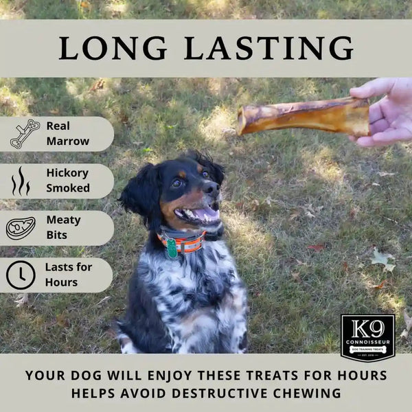 K9 Connoisseur Beef Marrow Large Dog Bones Long Lasting for Aggressive Chew | USA Made Single Ingredient Champ Bones for Large Dogs over 50 Pounds - 3 Pack4
