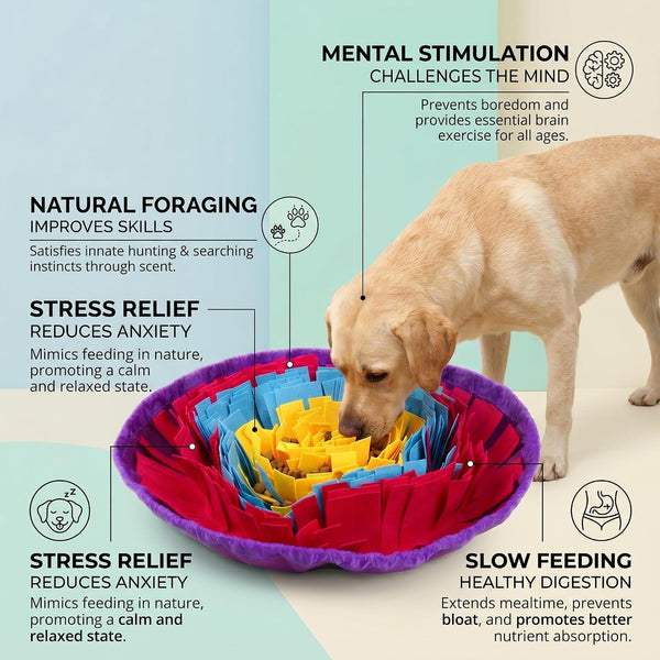 Snuffle Mat for Dogs, Multicolor Dog Enrichment Feeding Mat 19 Inch, Interactive Nose Work Sniff Mat for Dogs Puzzle Toy for Mental Stimulation, Slow Feeding and Anti-Boredom3