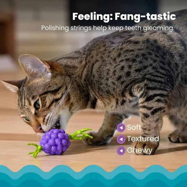 Catstages Bouncing Grape Teether Cat Toy, Soft and Textured Chew, Catnip Oil Coating3