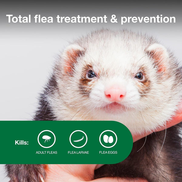 Advantage II Ferret Vet-Recommended Flea Treatment & Prevention | Ferret 1+ Lbs. | 2-Month Supply3