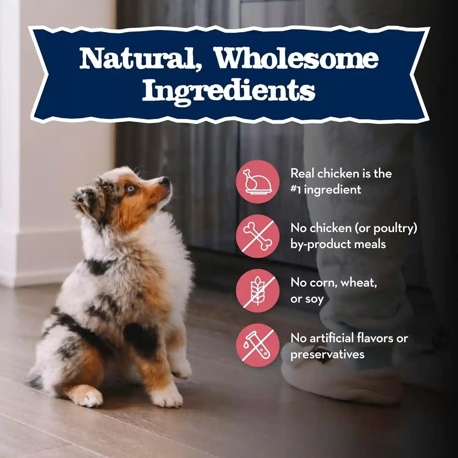 blue-buffalo-baby-blue-natural-small-breed-puppy-dry-dog-food-healthy-growth-formula-with-dha-chicken-and-oatmeal-recipe-4-lb-bag