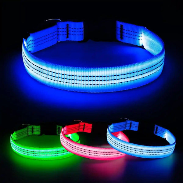 Light up Dog Collar for Small Dogs& Cats, Reflective LED Dog Collar Rechargeable Glowing Puppy Collar Safety Dog Lights for Night Walking (Royal Blue)11