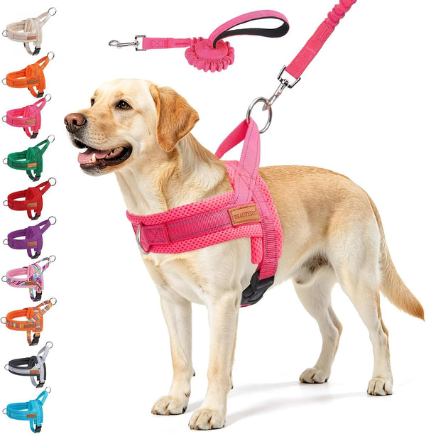 BEAUTYZOO Dog Harness No Pull, Quick Fit Dog Harness and Leash Set, Escape Proof Vest Harness with Soft Handle, Reflective Breathable Mesh Padding Harness for Medium Size Dog Training Walking, Beige M20