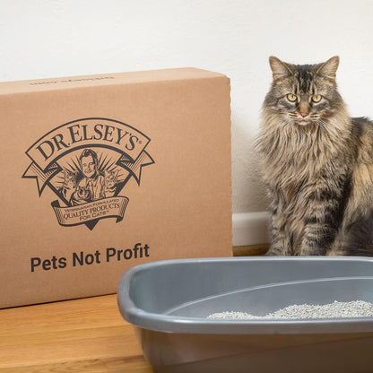 Precious Cat Classic Premium Clumping Cat Litter, 18 Lb Bag7