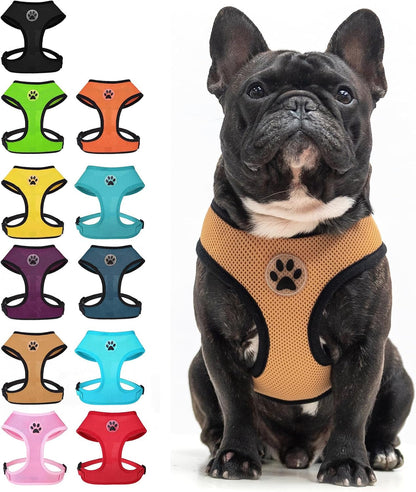 BINGPET Small Dog Harness, No Pull Dog Harness Small Sized Dogs, Soft Light Breathable Mesh Puppy Vest with Safety Buckle-Adjustable Step in Pet Harnesses for Easy Walking, Running, Training29