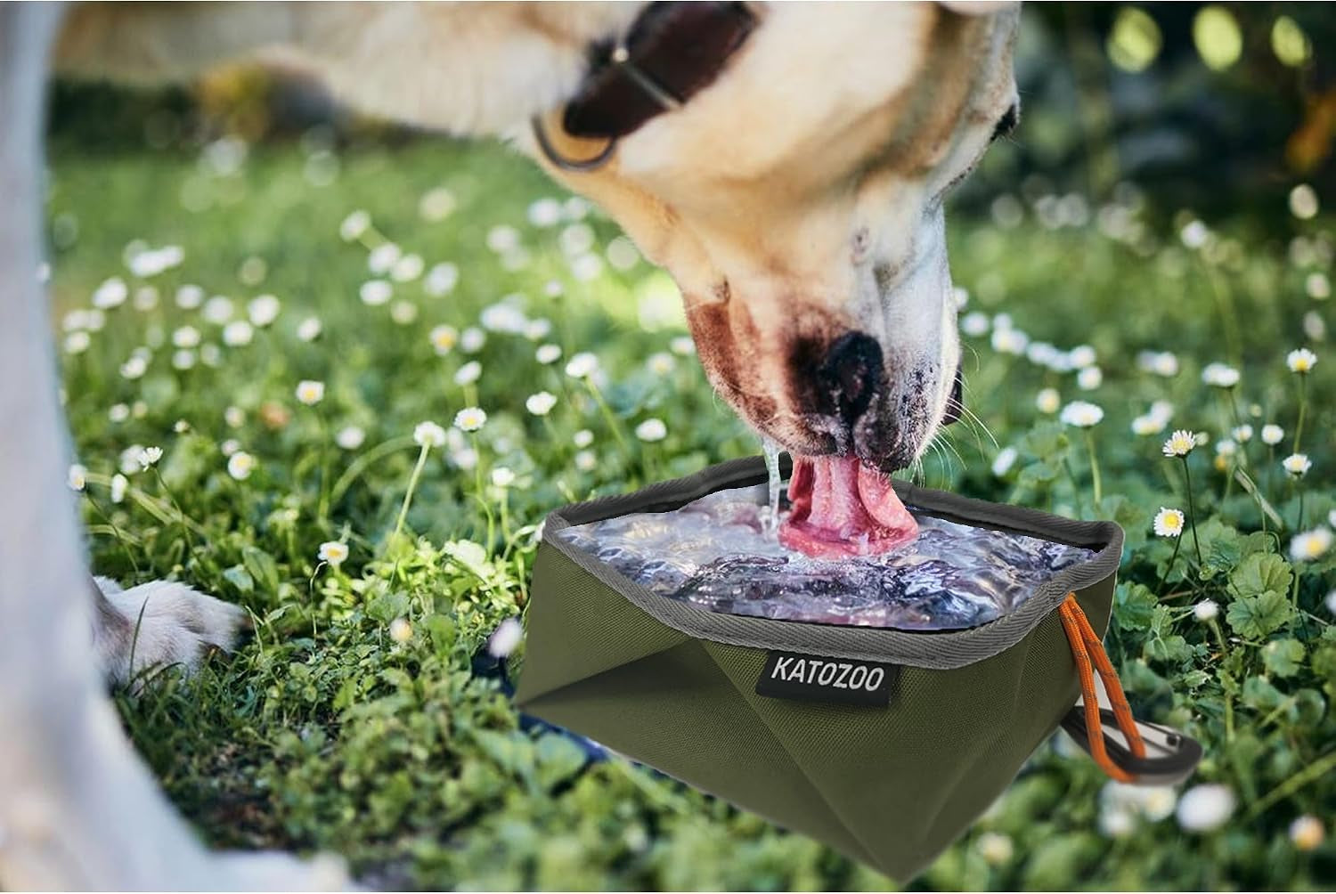 travel-dog-bowls-2-pack-60oz-collapsible-dog-bowls-portable-food-and-water-bowls-for-walking-camping-and-traveling-suitable-for-food-and-water