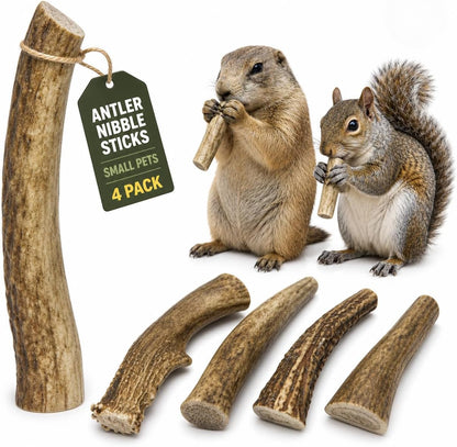 Whitetail Naturals Small Animal Antler Chews, 4 Pack Gnaw Stick Toys | for Squirrels Hamsters Gerbils Guinea Pigs Rats Degus Prairiedogs Chinchilas Rabbits - Calcium & Minerals - Not for Dogs1