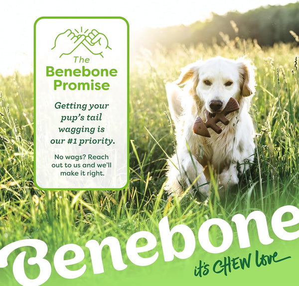 Benebone Fishbone Durable Dog Chew Toy for Aggressive Chewers, Real Fish, Made in USA, Medium6