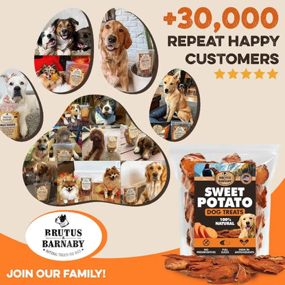 BRUTUS & BARNABY Sweet Potato Dog Treats – Support Sensitive Stomachs with Usa-Grown, Hypoallergenic Treats That Smell as Good as They Taste9