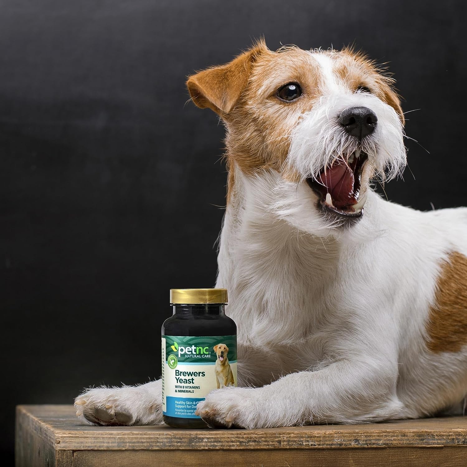 petnc-natural-care-brewers-yeast-dog-skin-and-coat-supplement-250-chewables-with-b-vitamins-antioxidants-minerals-promotes-healthy-skin-glossy-coat-for-dogs-10-lbs-over-brewers-yeast-with-b-vitamins-glossy-coat-dogs-tasty-chewable-tablets-for-dogs-10-lbs-over