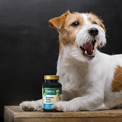 Petnc Natural Care Brewers Yeast Dog Skin and Coat Supplement (250 Chewables), with B Vitamins, Antioxidants & Minerals, Promotes Healthy Skin & Glossy Coat, for Dogs 10 Lbs & over | Brewers Yeast with B Vitamins, Glossy Coat, Dogs, Tasty Chewable Tablets for Dogs 10 Lbs & Over5