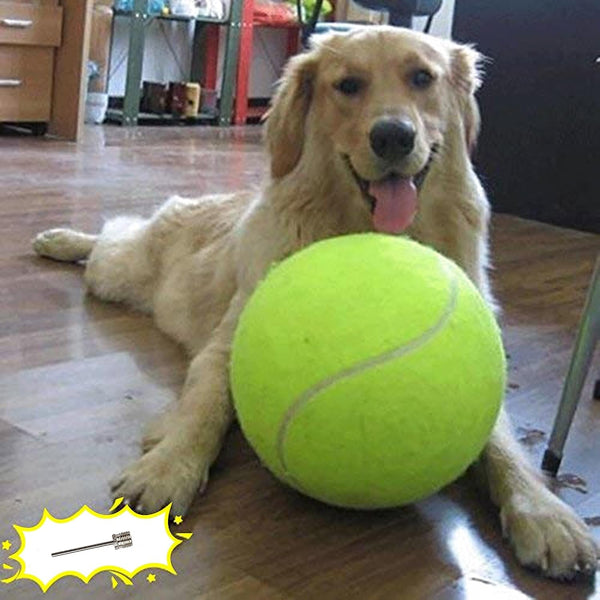 Banfeng Dog Tennis Ball, 9.5" Giant Sport Gift Toy Herding Ball for Dogs | Puppy Birthday Gift ,Interactive Toy,Outdoor Pet Toys to Keep Them Busy,Big Tennis Ball for Small Medium Large Dog1