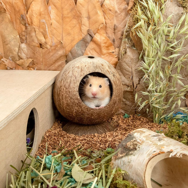 Andwe Coconut Hut Hamster House Bed for Gerbils Mice Small Animal Cage Habitat Decor5