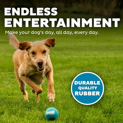 Outward Hound Squeaker Ballz – Squeaky Tennis Balls for Dogs under 50 Lbs, Interactive Dog Toy for Fetch & Training, Medium (2.5"), 4‑Pack4