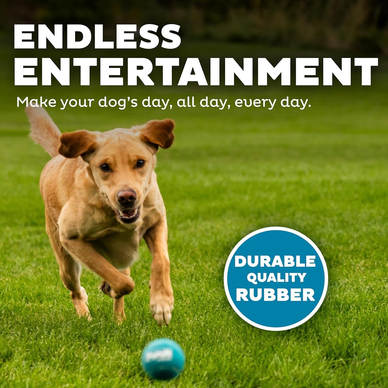 outward-hound-squeaker-ballz-squeaky-tennis-balls-for-dogs-under-50-lbs-interactive-dog-toy-for-fetch-training-medium-2-5-4-pack