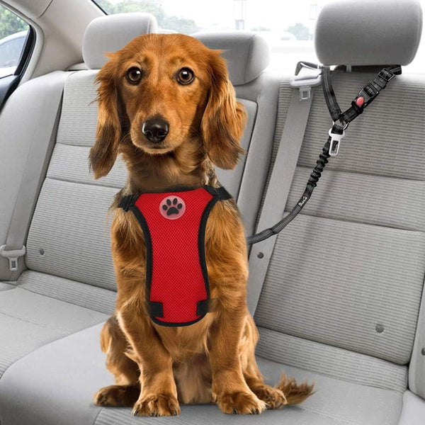 Slowton Dog Seat Belt for Car, 2 Pack Dog Car Harness Seatbelt Adjustable with Elastic Bungee Buffer, 2 in 1 Pet Car Leash Headrest Restraint Dog Reflective Safety Tether (Black, Headrest+Clip)7