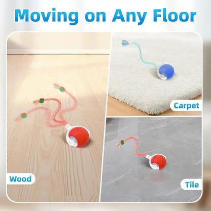 Interactive Cat Toys for Indoor Cats, Automatic Kitten Toys for Bored Indoor Adult Cats, Smart Kitten Rolling Ball Moving Balls Toy, Rechargeable Dog Cat Ball for Enrichment Exercise (Red+Blue)5