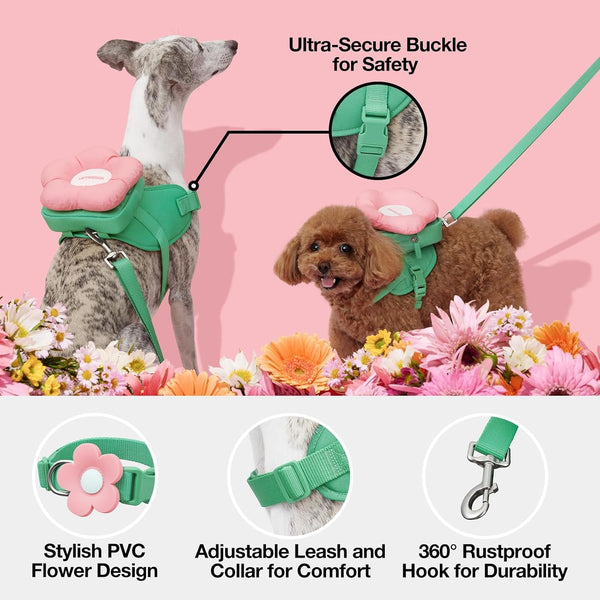 VETRESKA Flora Dog Harness, Leash and Collar Set, No Pull Vest Harness, L | for Walking and Training, Adjustable, Easy Control and Soft Padded Pet Harness and Backpack for Small Medium Large Dogs4