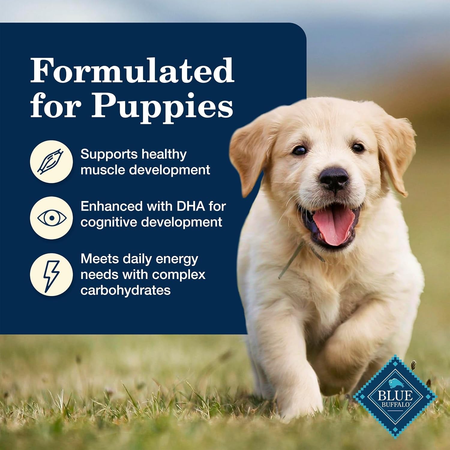 blue-buffalo-homestyle-recipe-chicken-puppy-wet-dog-food-12-5-oz-12-ct-chicken-dinner-with-garden-vegetables-brown-rice-no-chicken-by-product-corn-wheat-or-soy