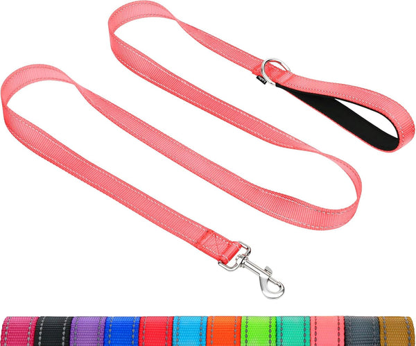 Taglory Reflective Dog Leash for Small Dogs, 3/4In X 6Ft, Black | Ideal for Night Walking, Strong for Sudden Pulls, Lightweight & Gentle on the Neck, Soft Padded Handle15