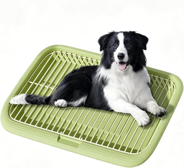 Dog Potty Tray Indoor Pet Pee Pad Holder for Small & Medium Dogs, Puppy Training Pad Holder, Pet Toilet Litter Box, Dog Bathroom Tray, Housebreaking Potty Supplies 17.72''Lx12.99''Wx1.97''H(Green)1