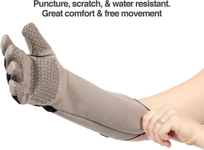 Petfusion Multipurpose Pet Grooming Gloves Great for Trips to Vet and Bathing, Puncture, Scratch & Water Resistant2