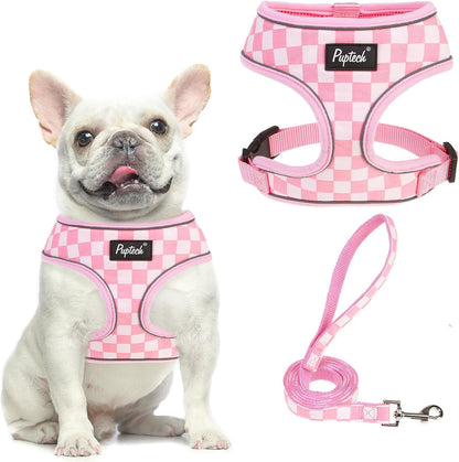 PUPTECK Soft Mesh Dog Harness Small Sized and Leash Set Pet Puppy Cat Comfort Padded Vest No Pull Harnesses, Beige, S11