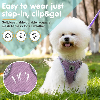 Dog Harness & Leash Set - No Pull Soft Breathable Small Dog Harness, Adjustable Reflective Step-In Vest for Puppy, Kitten, Cats3