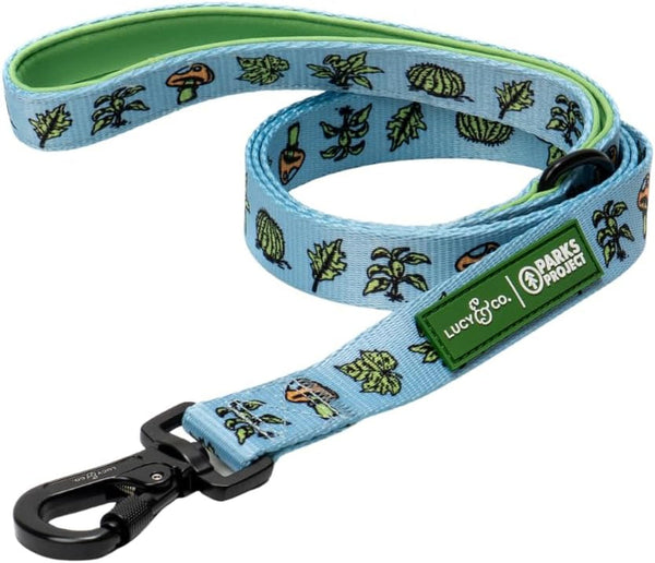 Lucy & Co. Cheery Cherries - Designer Dog Leash for Small to Large Dogs - Padded Handle for Comfort - Large, Red Gingham Cherries - 5 Foot29