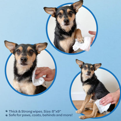 Best Pet Supplies Cleaning Dog Wipes - Moisturizing Coconut 100 Count | Coconut Scented, Large 8X9" Pet Wipes, Vitamin E, Puppy & Cat Safe, Gentle Grooming, Resealable Pouch Prevents Drying3