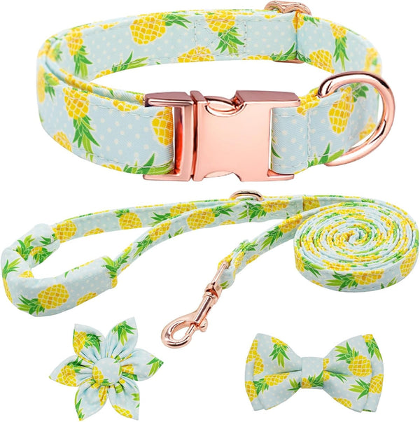 Dog Collar and Leash Set Girls Adjustable Puppy Collars with Floral Bow Tie for Small Medium Large Female Dogs, Orange Flower, S17