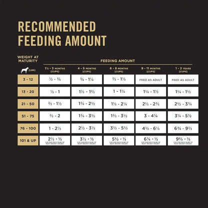 Purina Pro Plan High Protein Puppy Food Shredded Blend Chicken & Rice Formula - 6 Lb. Bag9